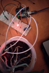 Arduino датчик влажности почвы и светодиоды.