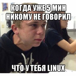 Почему не Linux